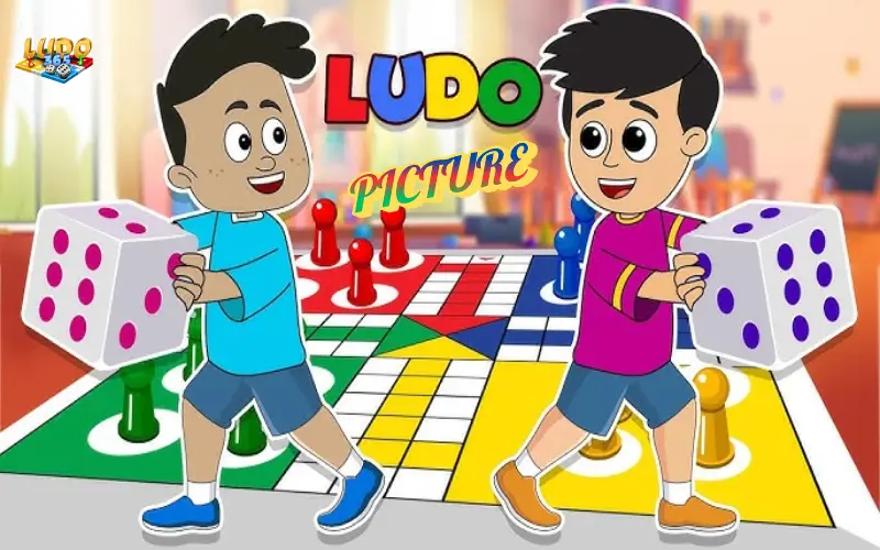 Ludo Picture