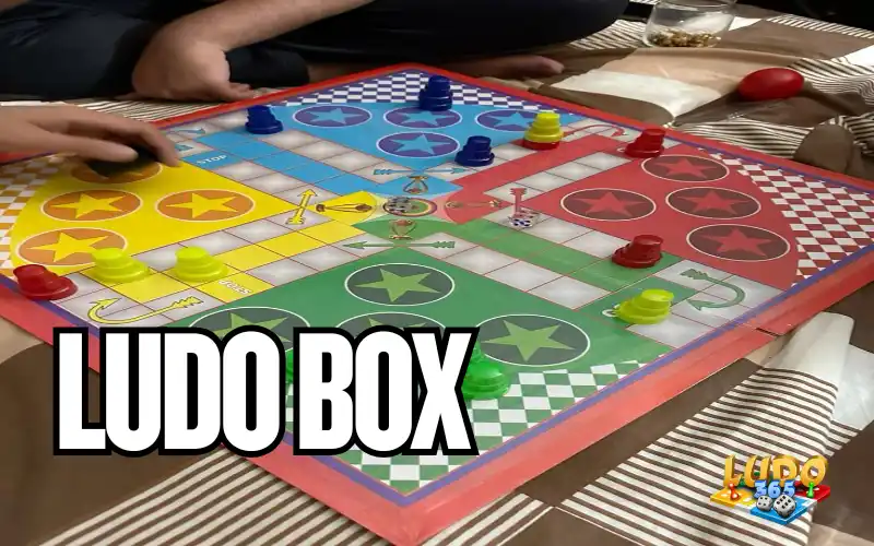 Ludo Box