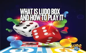 Ludo Box